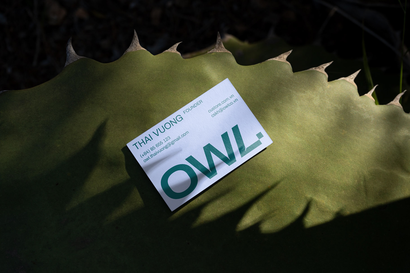 Owl-Branding-Design-4